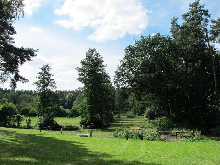 Bungalow für 2 Personen, mit Terrasse, mit Haustier in Mecklenburgische Seenplatte - 3