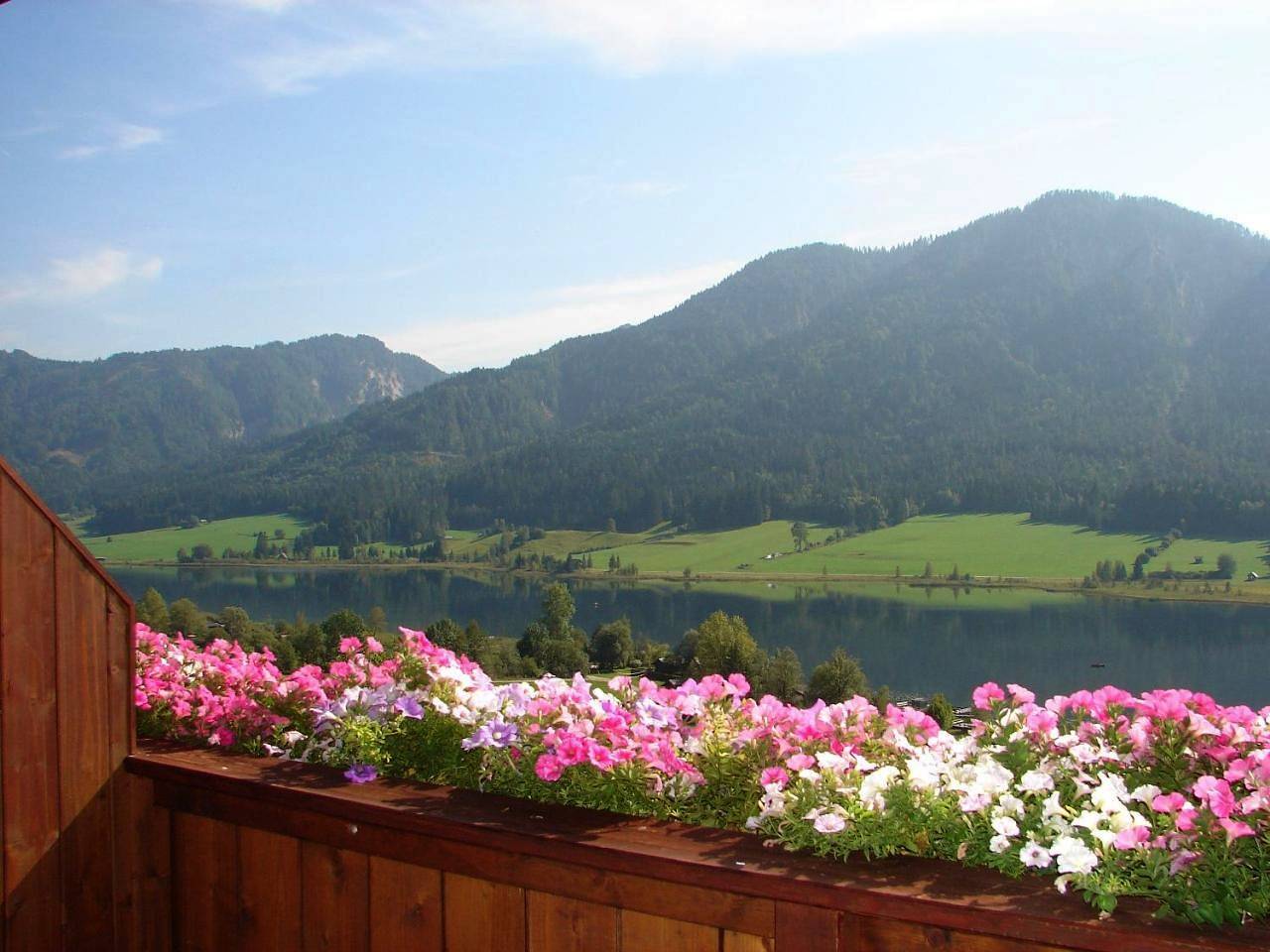 Ferienwohnungen Plattner in Oberdorf (Weissensee), Weissensee
