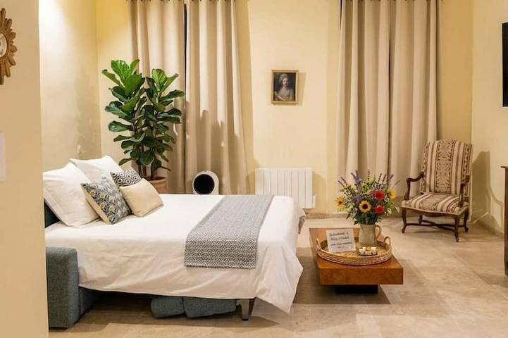 Entire apartment, Private Spa & Charming Patio (Near Avignon & the Vineyards) in Roquemaure, Nimes region