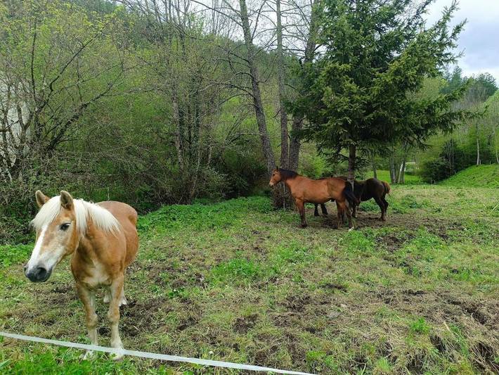 Location de vacances pour 11 personnes, animaux acceptés à Valdrôme - 3