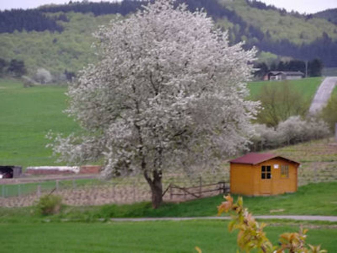 Ganze Ferienwohnung, Ferienwohnung Haus Weitblick in Düdinghausen, Medebach