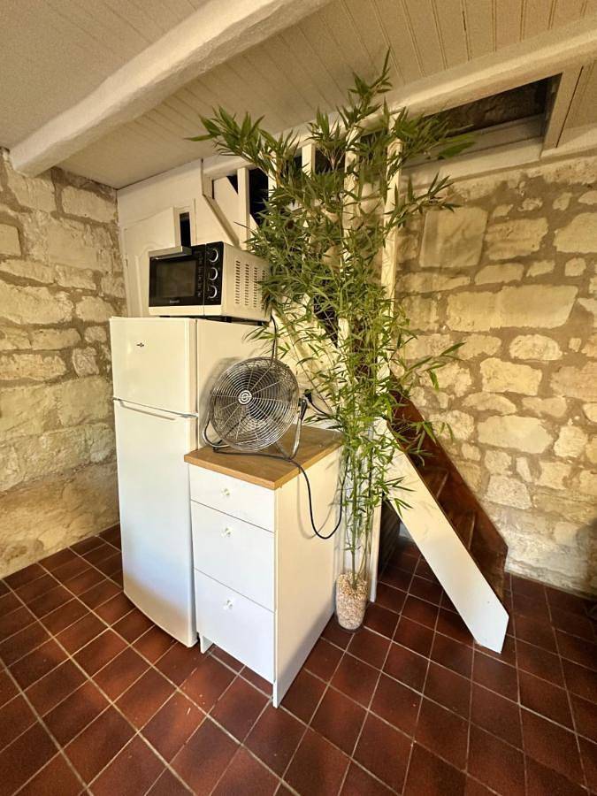 Location de vacances pour 2 personnes, avec jardin à Savigny-en-Véron - 3