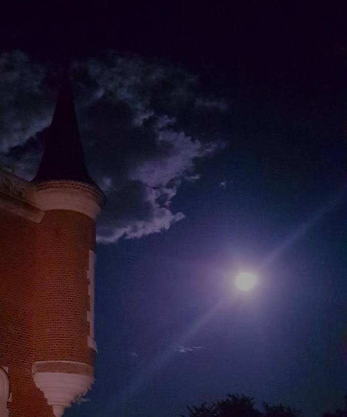 Gîte pour 6 personnes, avec jardin, animaux acceptés à Suèvres - 4