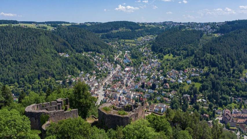 Ferienwohnung für 12 Personen, mit Terrasse in Schramberg