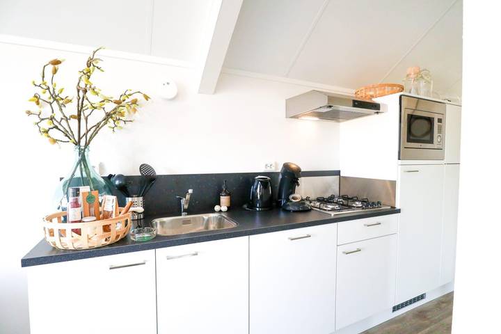 Ferienhaus für 4 Personen, mit Balkon/Terrasse und Terrasse sowie Garten und Sauna in Gelderland - 4