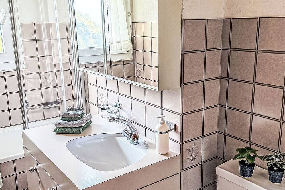 Entire apartment, Platten by Interhome in Gersau, Lake Lucerne