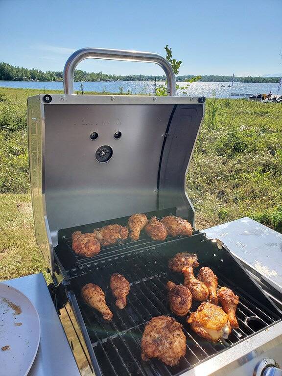 Cabane en bois pour 6 personnes, avec jardin et terrasse ainsi que jacuzzi et sauna, animaux acceptés dans Alaska - 3