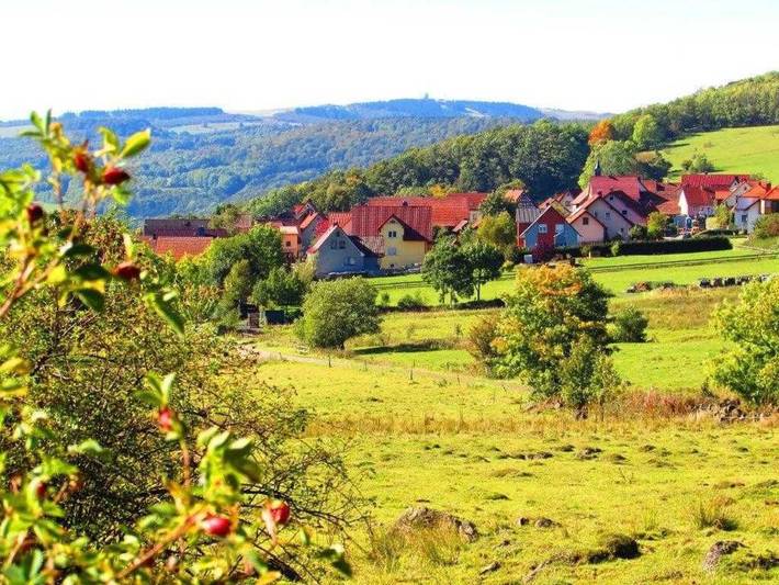 Ferienwohnung für 4 Personen, mit Garten und Terrasse sowie Ausblick, kinderfreundlich in Thüringische Rhön - 4