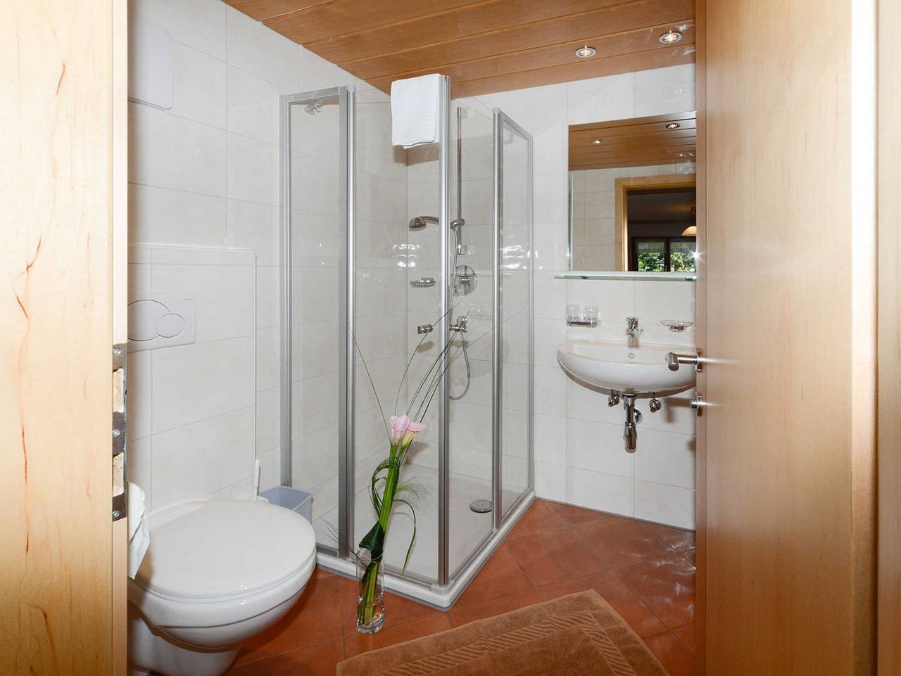 Ganze Ferienwohnung, Greber Christine - Frühstückspension Fernblick in Schoppernau, Bregenzerwald