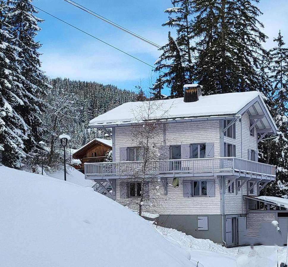 Chalet in La Tania, La Perrière