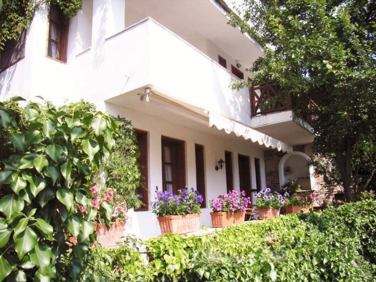 Villa Daphne in Thassos