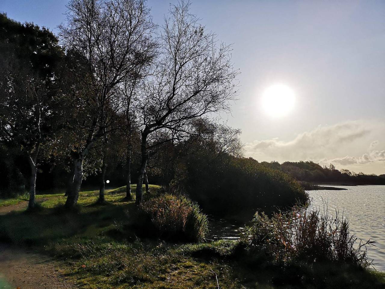6 Personen Ferienhaus in Ansager-By Traum in Varde
