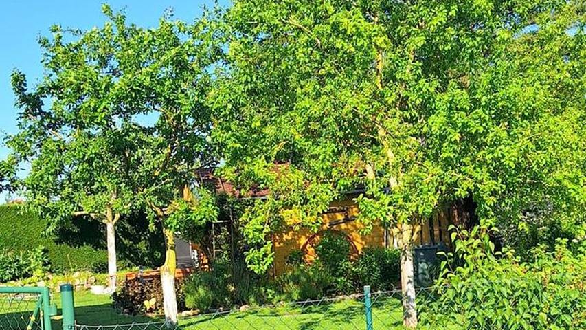 Ferienhaus für 7 Personen, mit Garten in Saal - 4