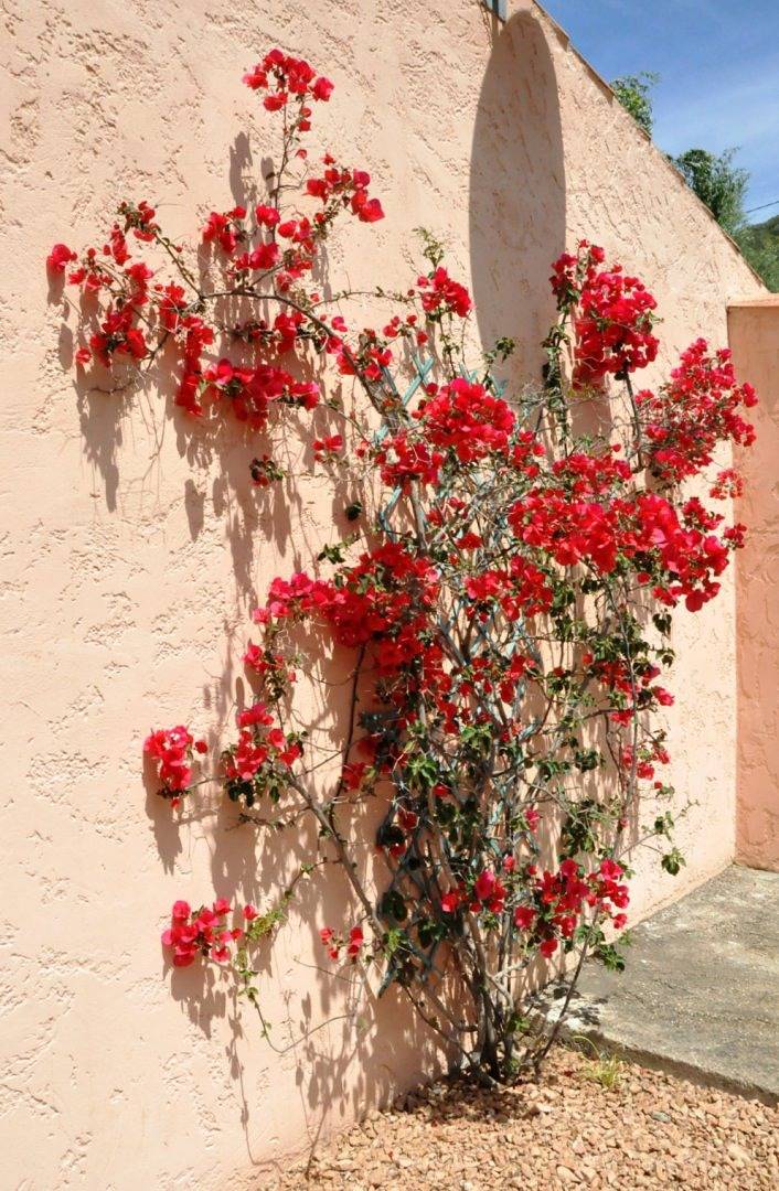 Location de vacances pour 4 personnes, avec jardin et terrasse en Corse-du-Sud - 3