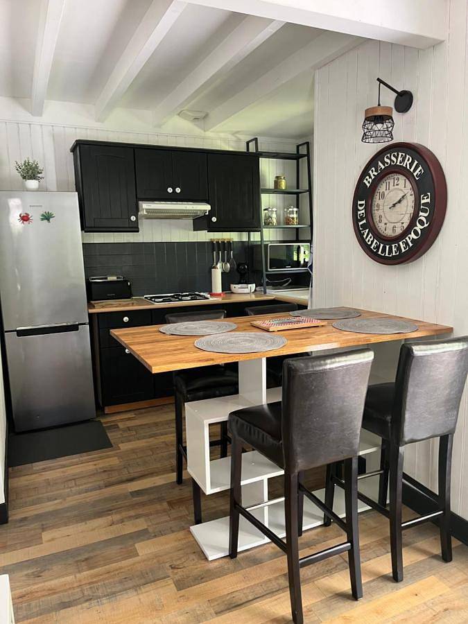 Gîte pour 10 personnes, avec jardin et terrasse à Sanguinet - 3