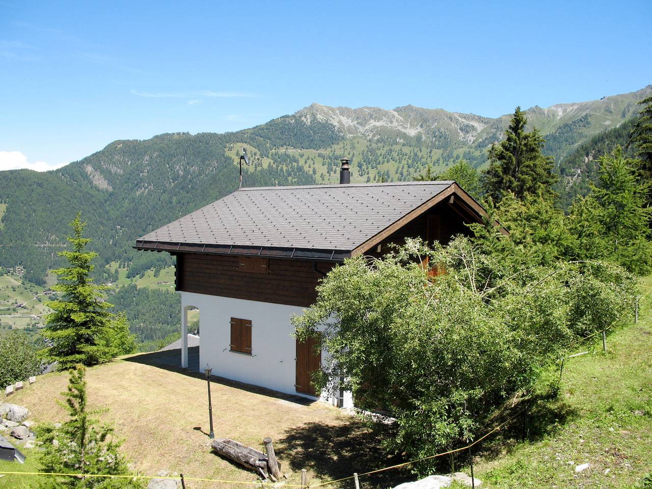 Edelweiss in La Tzoumaz, Riddes