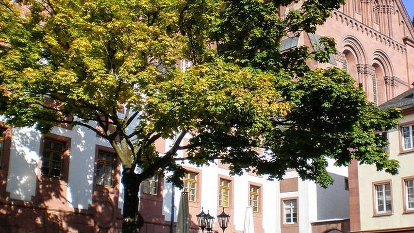Gîte pour 3 personnes, avec balcon à Mayence - 4