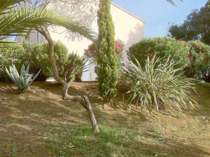 Location de vacances pour 6 personnes, avec piscine ainsi que vue et jardin à Oletta - 3