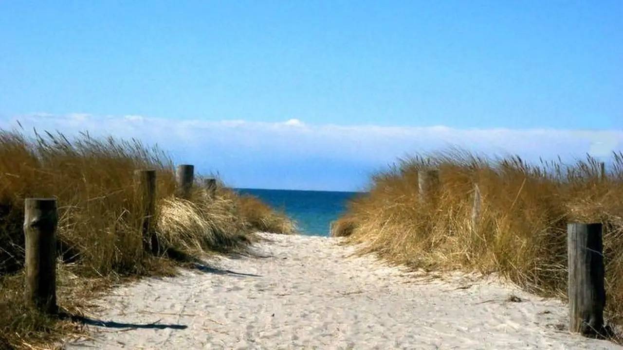 Ganze Ferienwohnung, Ferienwohnung für 2 Personen (33 m²) in Hiddensee in Neuendorf Insel Hiddensee, Hiddensee