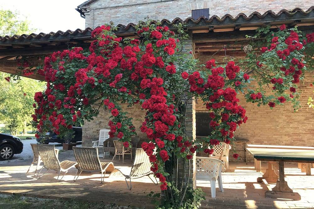Appartamento \"Limoni\" immerso nel verde delle colline marchigiane in Ostra Vetere, Provincia di Ancona