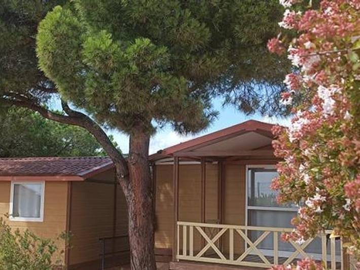 Ferienhaus für 5 Personen, mit Kinderpool in Calella - 4