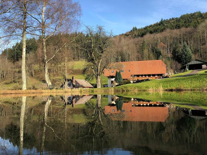 Ferienhaus für 3 Personen, mit Balkon und Garten sowie Seeblick und Ausblick in Markgraeflerland - 2