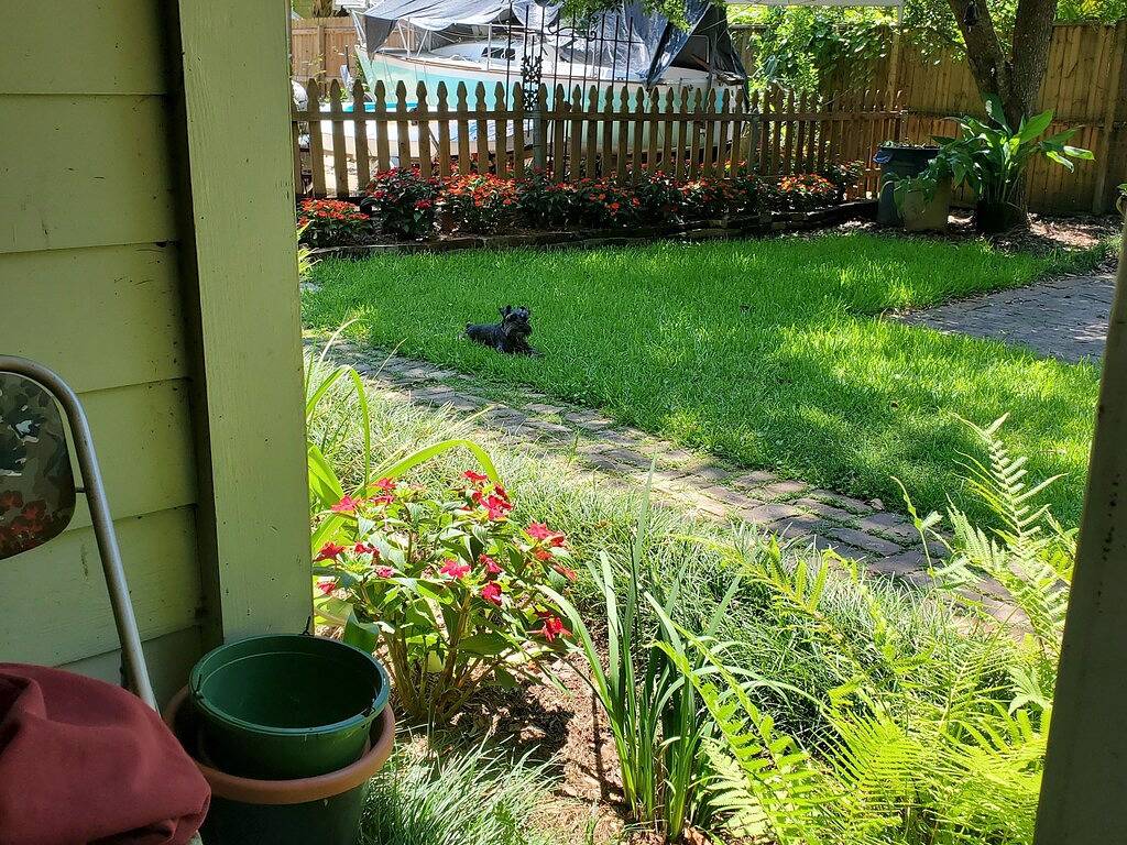 Old Mandeville guesthouse with New Orleans style courtyard 1 block from Lake. in Mandeville, Lake Pontchartrain