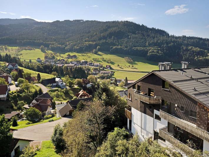 Ferienhaus für 4 Personen, mit Balkon in Nationalpark Schwarzwald - 3