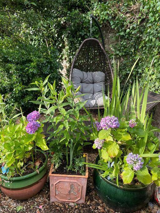 Lovely Charmouth cottage with log fire & garden close to beach in Charmouth, Dorset