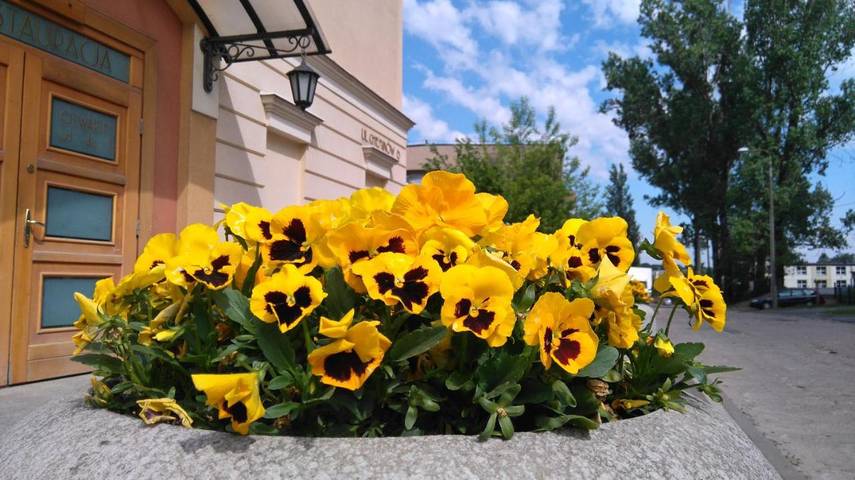 Hotel dla 4 osób, z ogród i widok w Zgierz