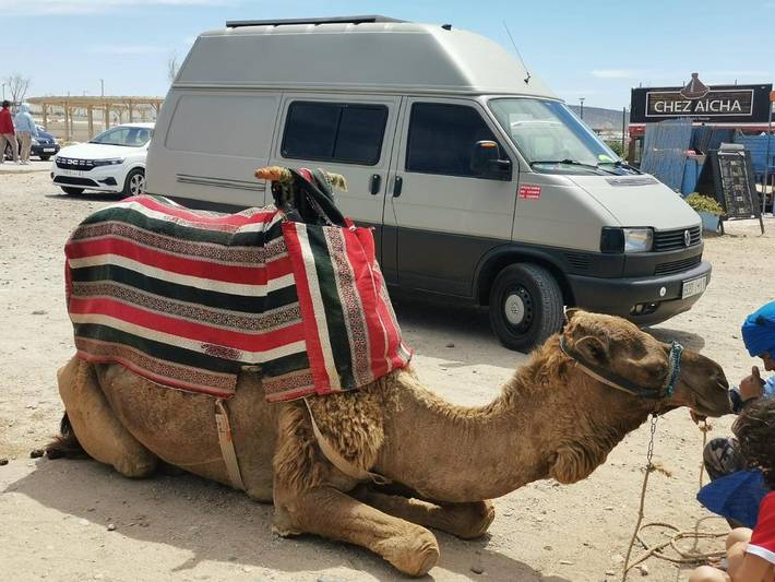 Camping pour 3 personnes, avec vue