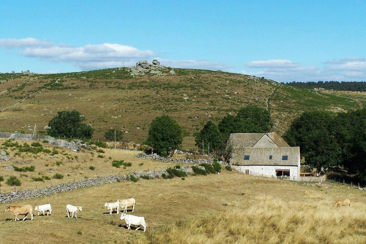 Promo d'été au gîte A l'Abri du Temps in Prinsuéjols, Prinsuéjols-Malbouzon