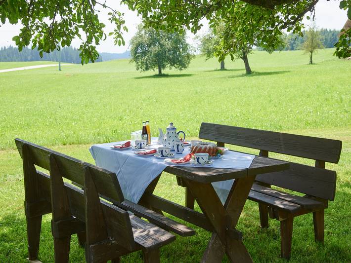 Ganze Ferienwohnung, Beim Dobler - Appartement Ringelblume, 20qm, 1. Obergschoss, kombinierter Wohn-Schlafraum in Höslwang, Chiemsee