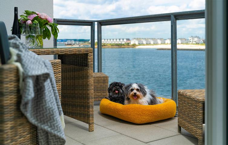 Ferienwohnung für 3 Personen, mit Sauna und Terrasse, mit Haustier in Kappeln