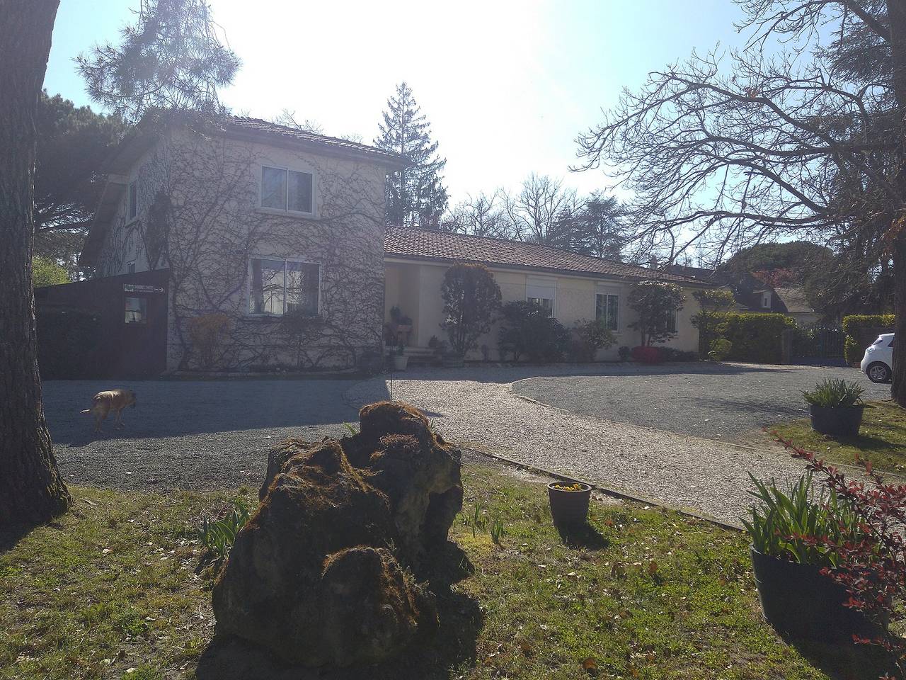Gite de groupe Aux Châtaigniers, Langon, 24 pers. maximum in Langon, Région de Langon