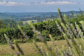 Villa pour 2 personnes, avec jardin et terrasse dans Haute-Garonne
