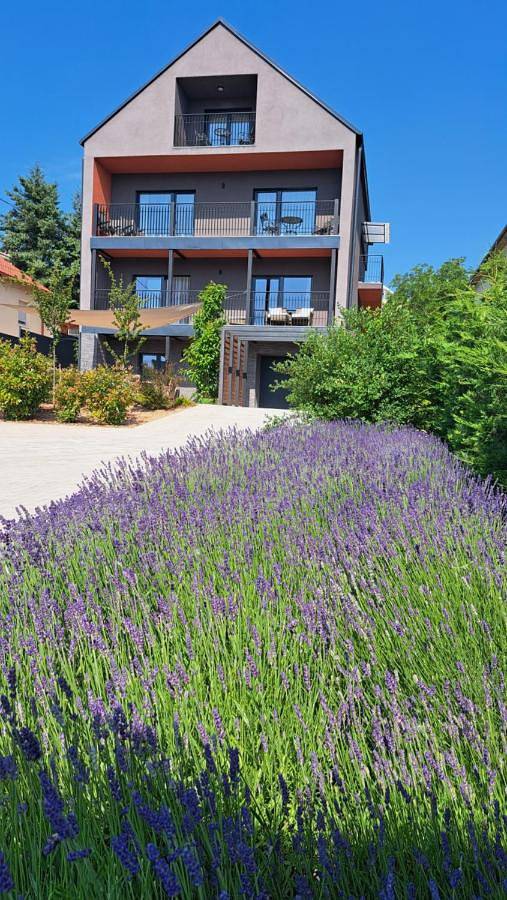 Ferienwohnung für 8 Personen, mit Balkon und Terrasse sowie Garten und Seeblick in Balatonalmadi