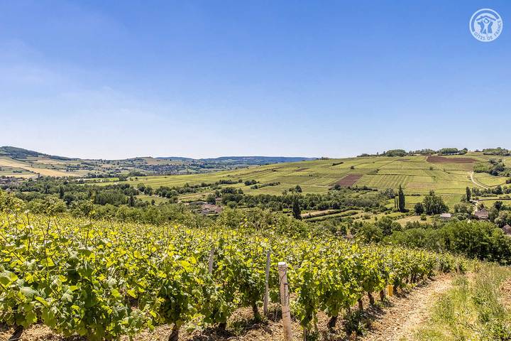 Gîte pour 4 personnes, avec jardin à Paris-l'Hôpital - 2