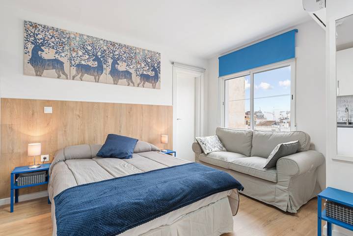 Entire studio, Studio Apartment 'Estudio Larios 9B' with Wi-Fi and Air Conditioning in Malaga Centro Historico, Malaga