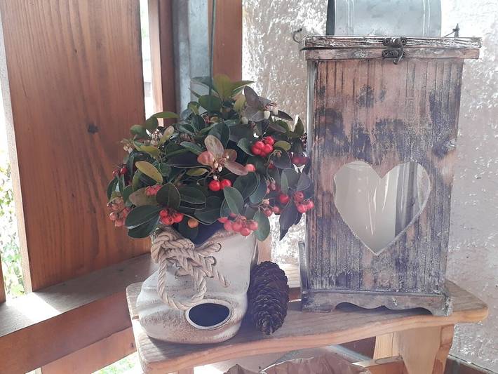 Ferienhaus für 2 Personen, mit Balkon in Königswinkel - 4