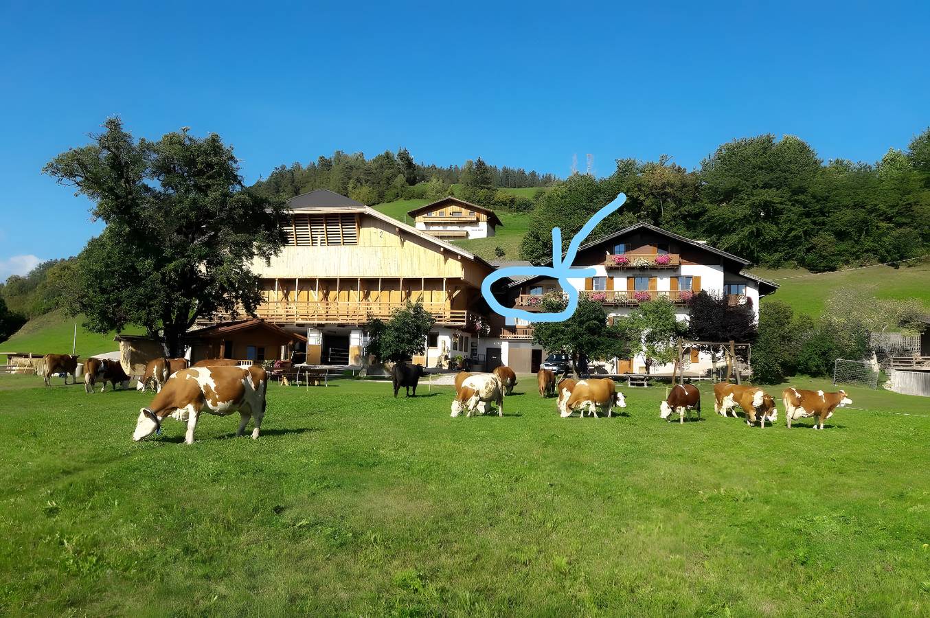 Ganze Wohnung, Apartment 'Schönblick' mit Bergblick, Gemeinschaftspool und Wlan in Seis am Schlern, Kastelruth