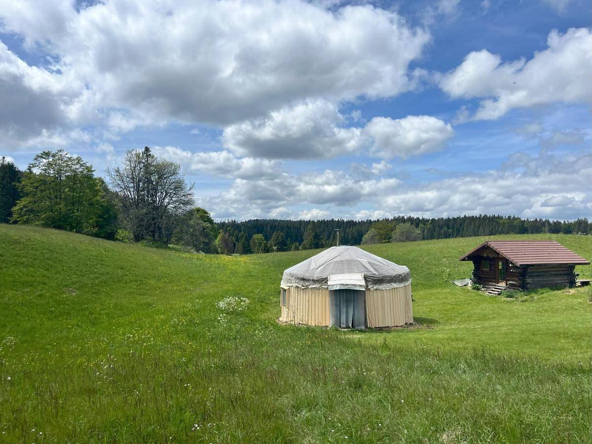Séjours nature et bien être en Yourte in La Pesse, Parc naturel régional du Haut-Jura