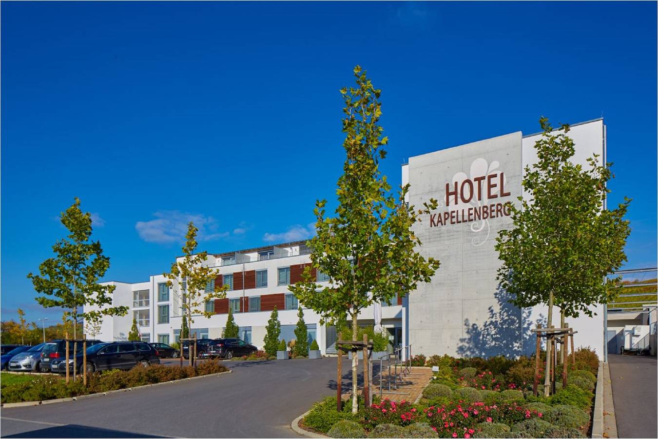Hotel Kapellenberg - Doppelzimmer zur Einzelbelegung in Eibelstadt, Región Viticola de Franconia