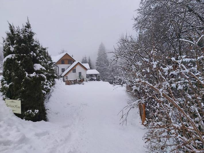 Gîte pour 6 personnes, avec jardin ainsi que piscine et vue, animaux acceptés à Bled - 4