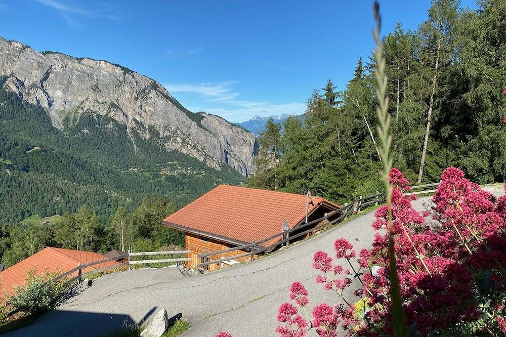 Chalet - Ruhe, Komfort und herrliche Aussicht in Ovronnaz, Chamoson