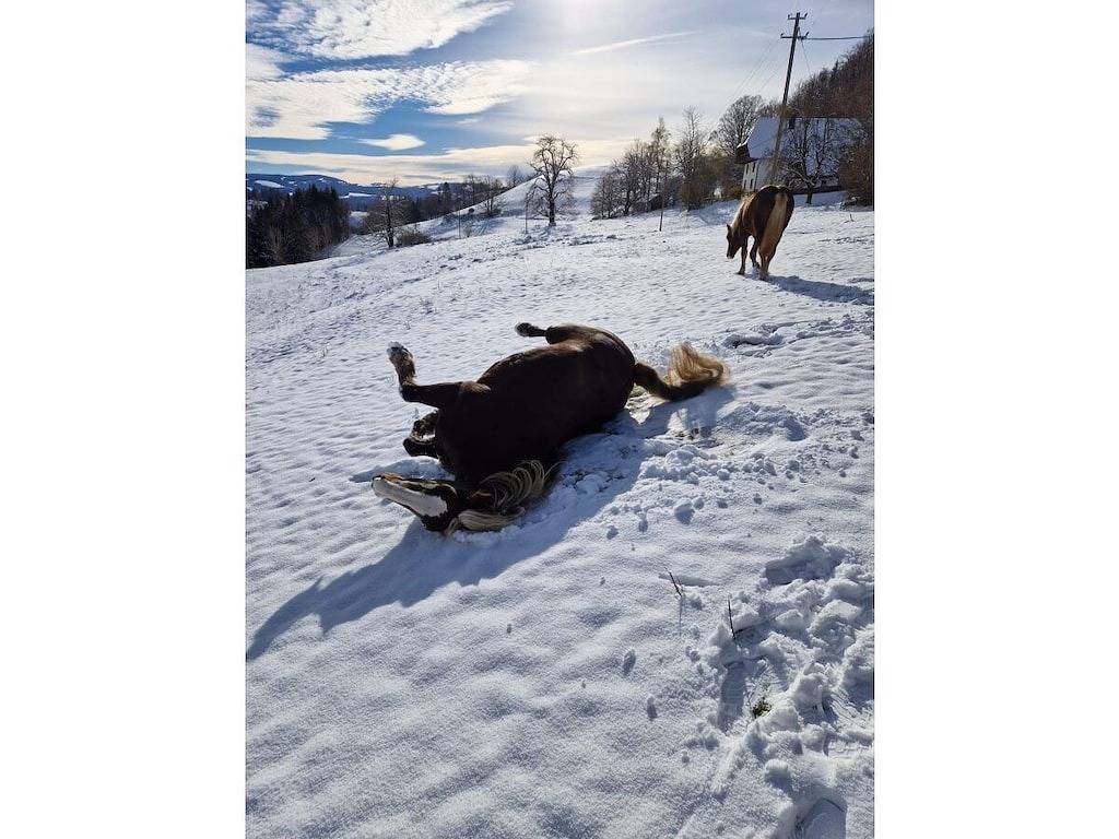 Ferienwohnung in Stpeter mit Balkon in St. Peter, Südschwarzwald