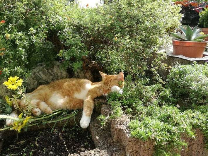 Bauernhof für 4 Personen, mit Terrasse und Garten im Erzgebirge - 4