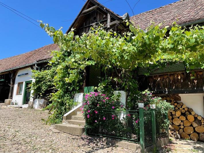 Maison d’hôte pour 2 personnes, avec sauna et piscine ainsi que jardin et vue, animaux acceptés dans Mureș - 4
