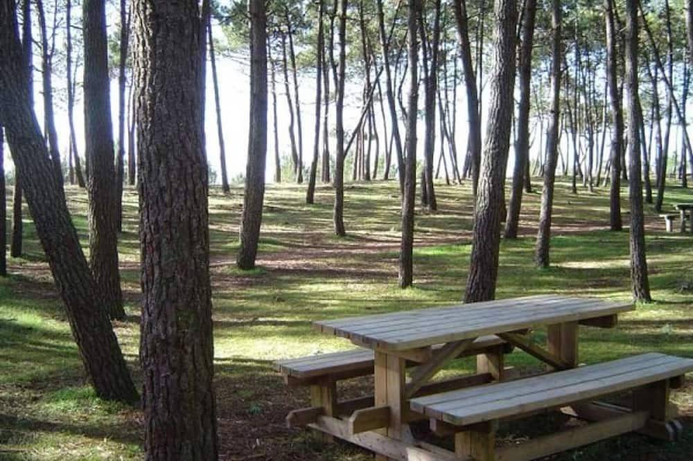 Entire apartment, Cozy Studio Near Beach, Center & Port for 2 in L'Aiguillon-sur-Mer, Fontenay-le-Comte
