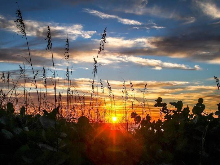 Vacation apartment for 4 people, with terrace and yard - 1